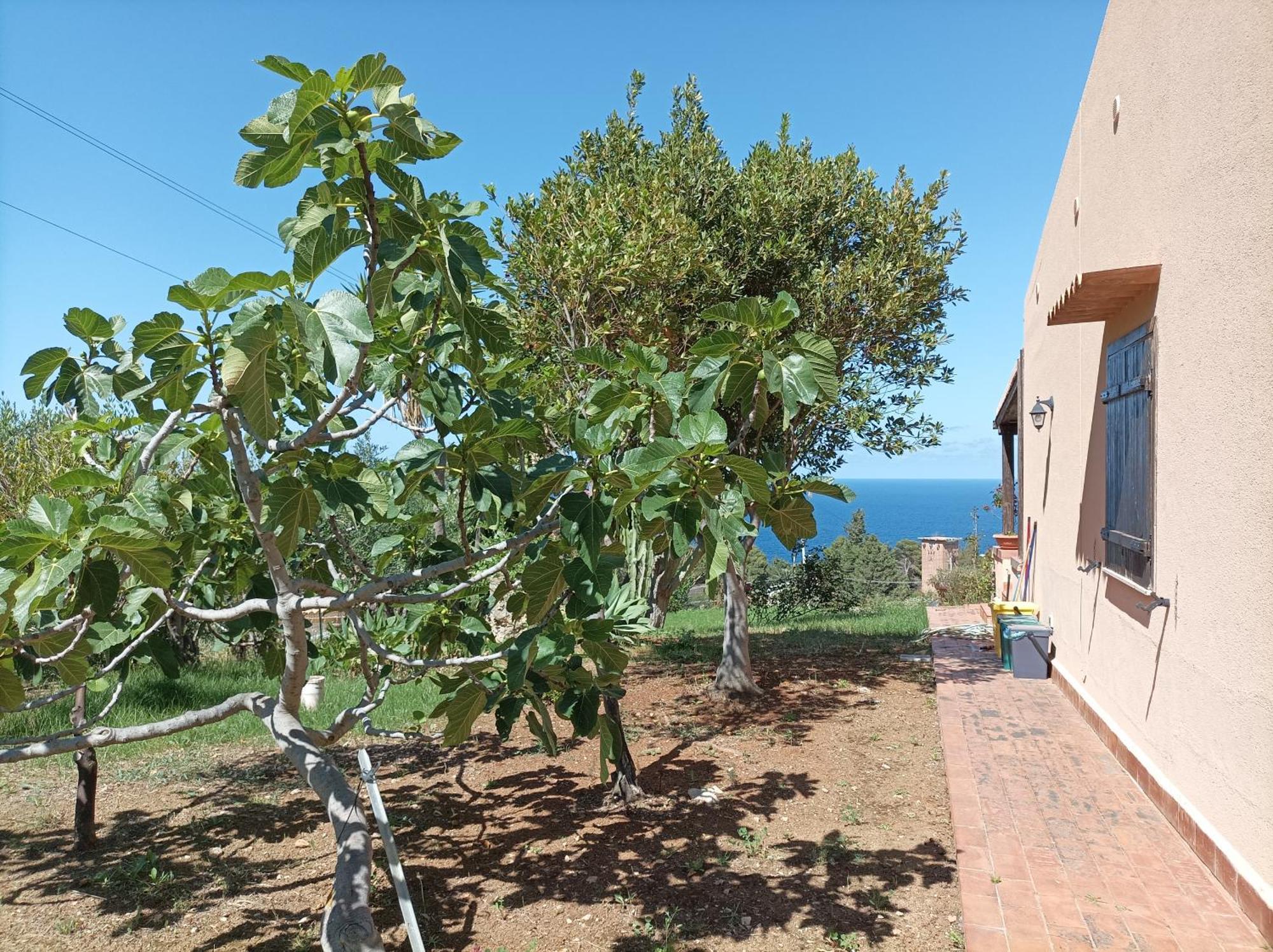 La Terrazza Su Pispisa Villa Castellammare del Golfo Kültér fotó